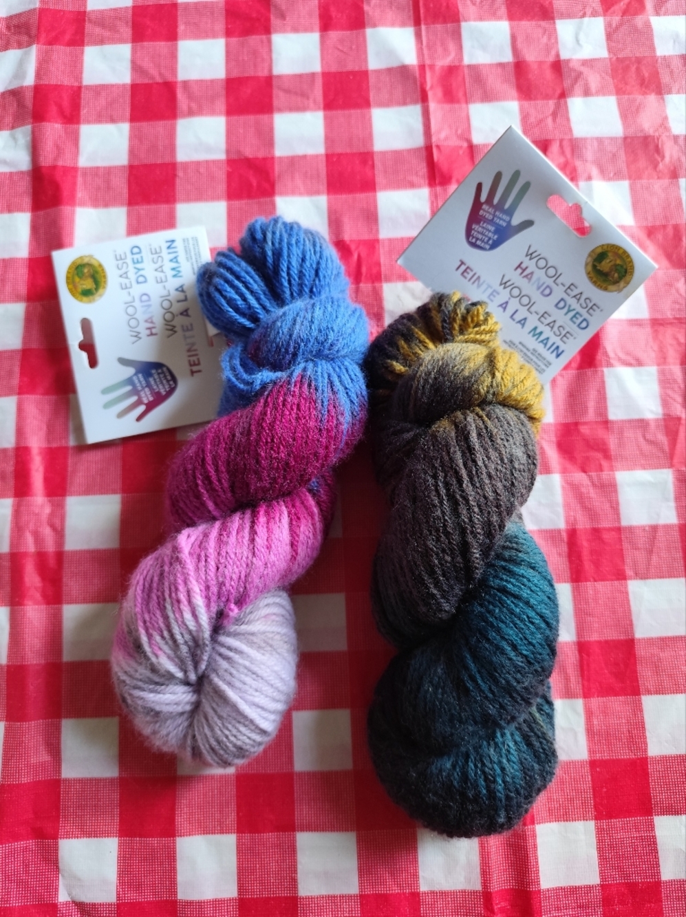 Lion Brand Wool-Ease Hand Dyed Yarn 2 skeins.